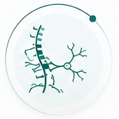 Multiple Sclerosis icon