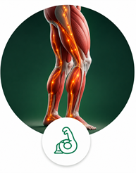 Muscular Dystrophy